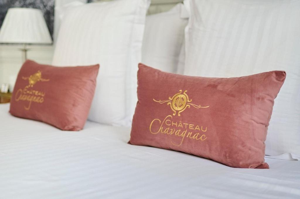 Chateau Chavagnac Hotel Lemps  Exterior photo